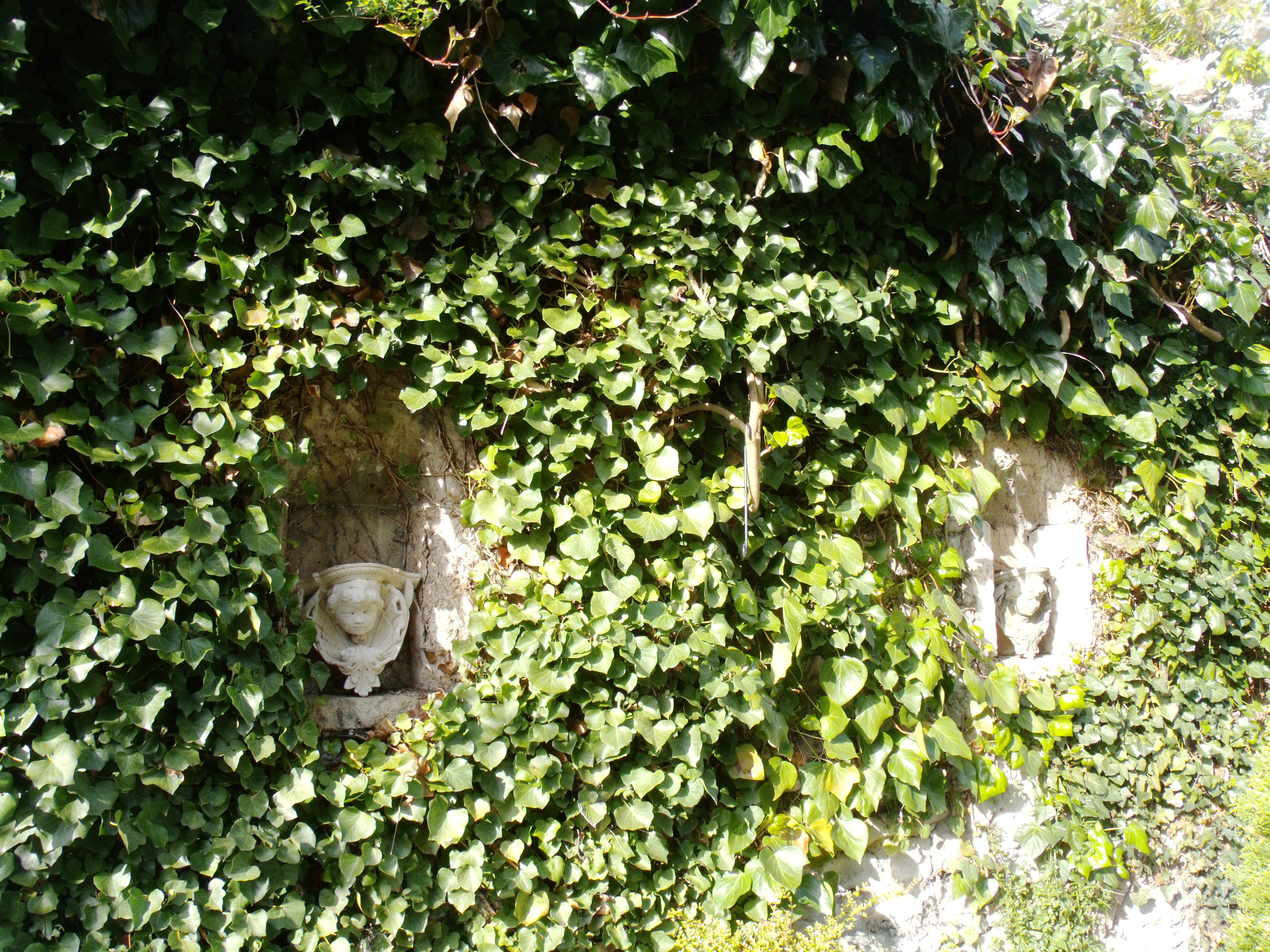 niches.jpg